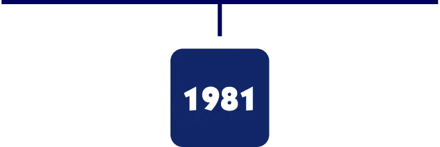 1981